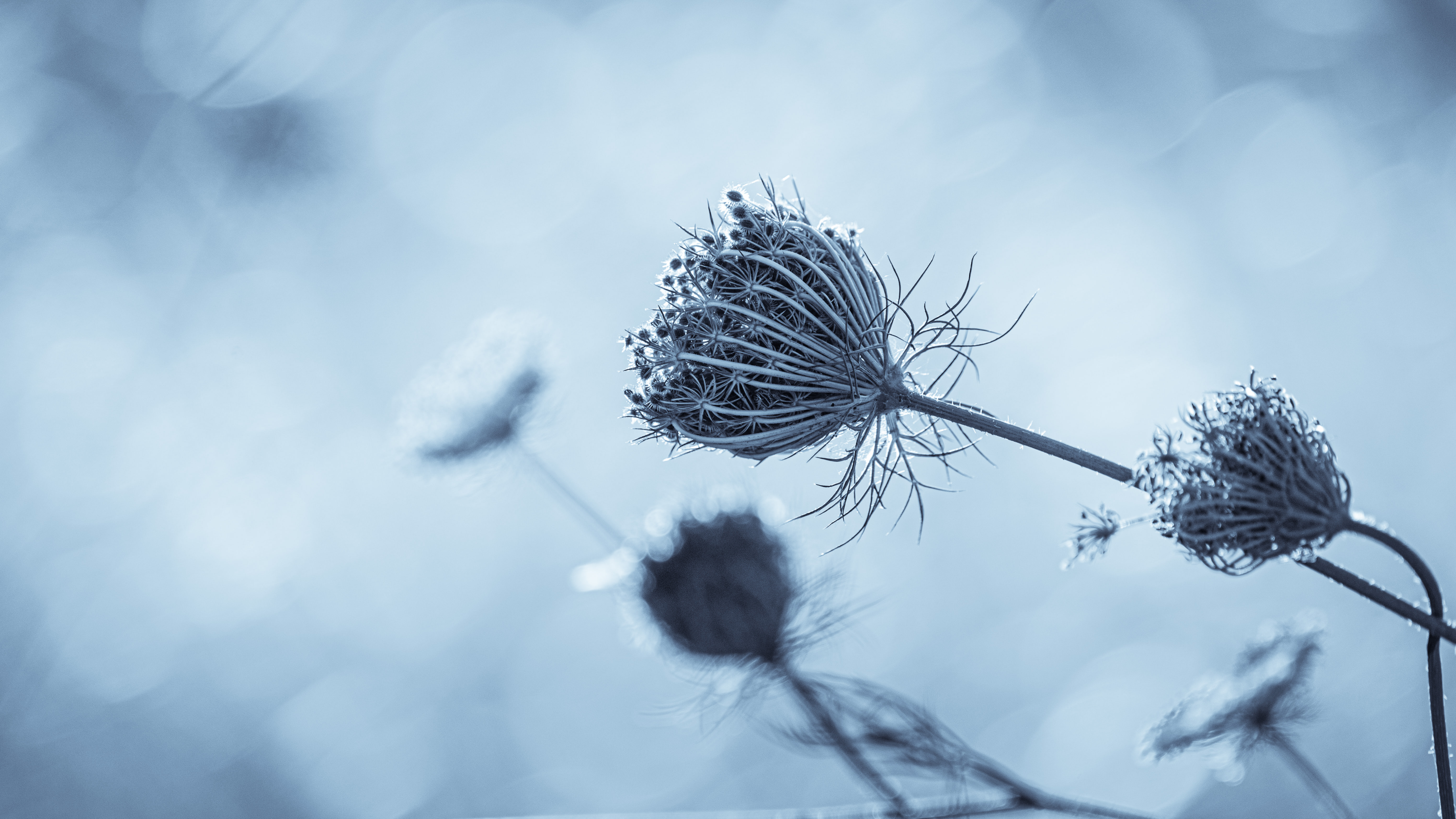 Birger Strahl on Unsplash