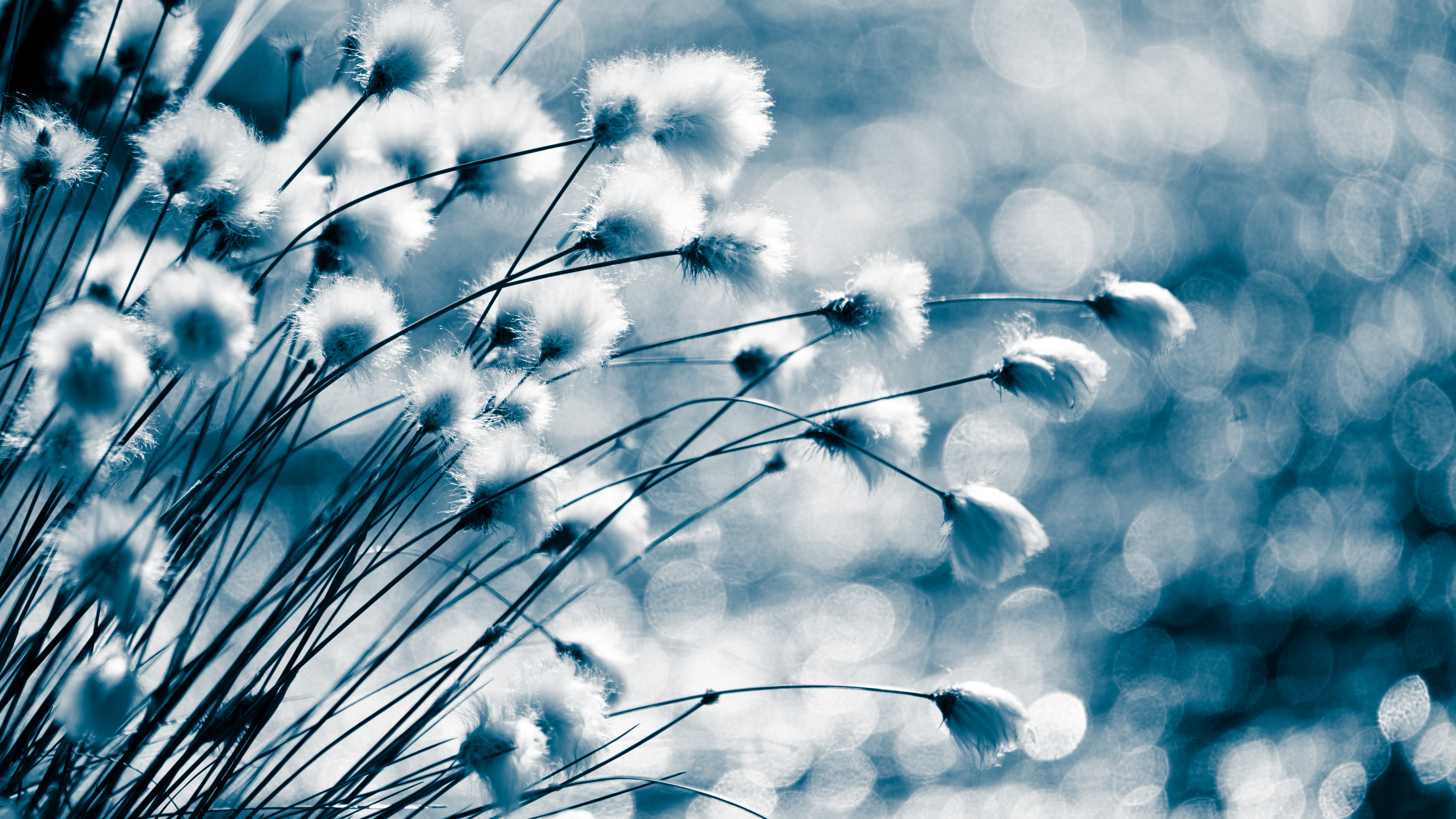 Birger Strahl on Unsplash