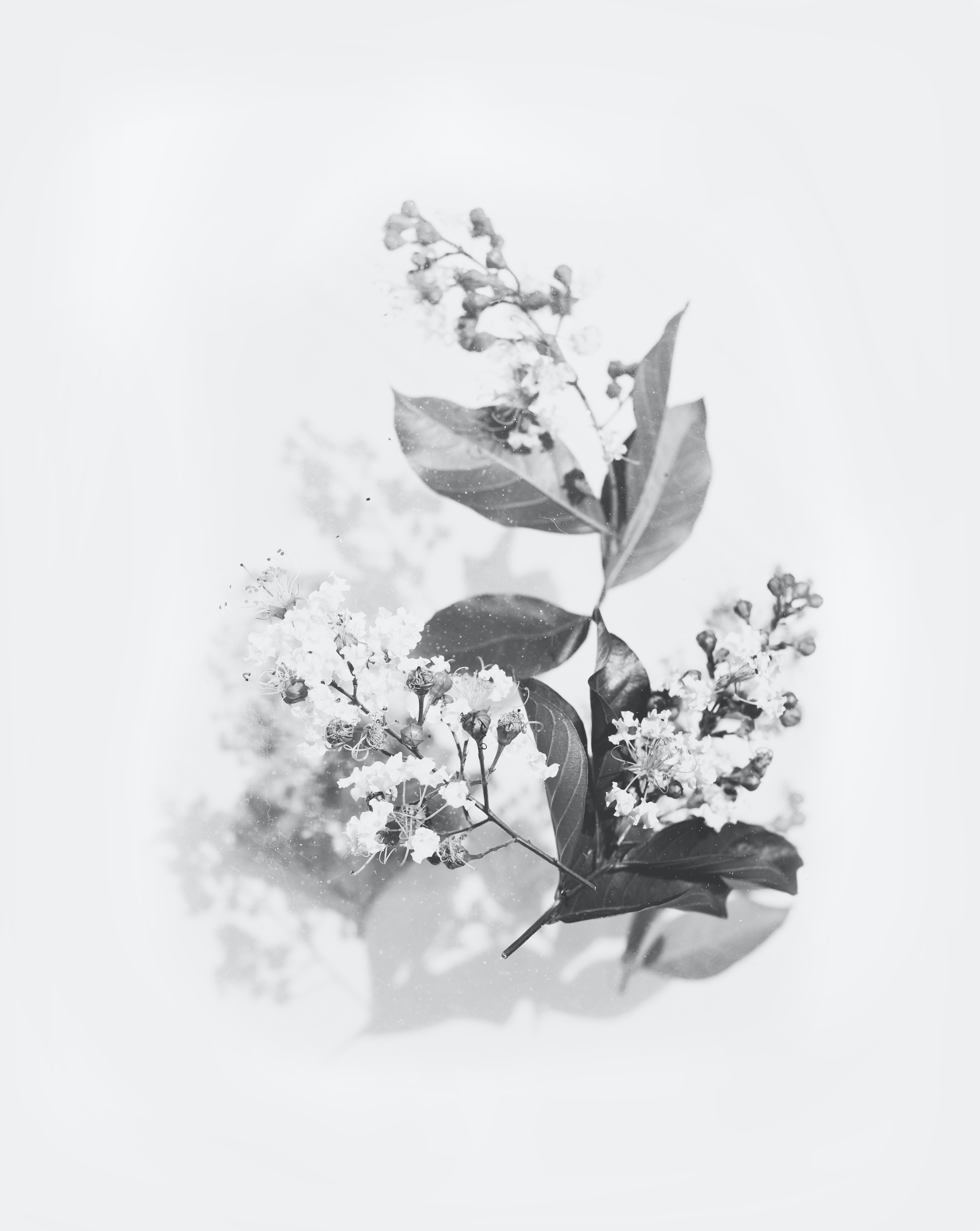 Evie Shaffer on Unsplash