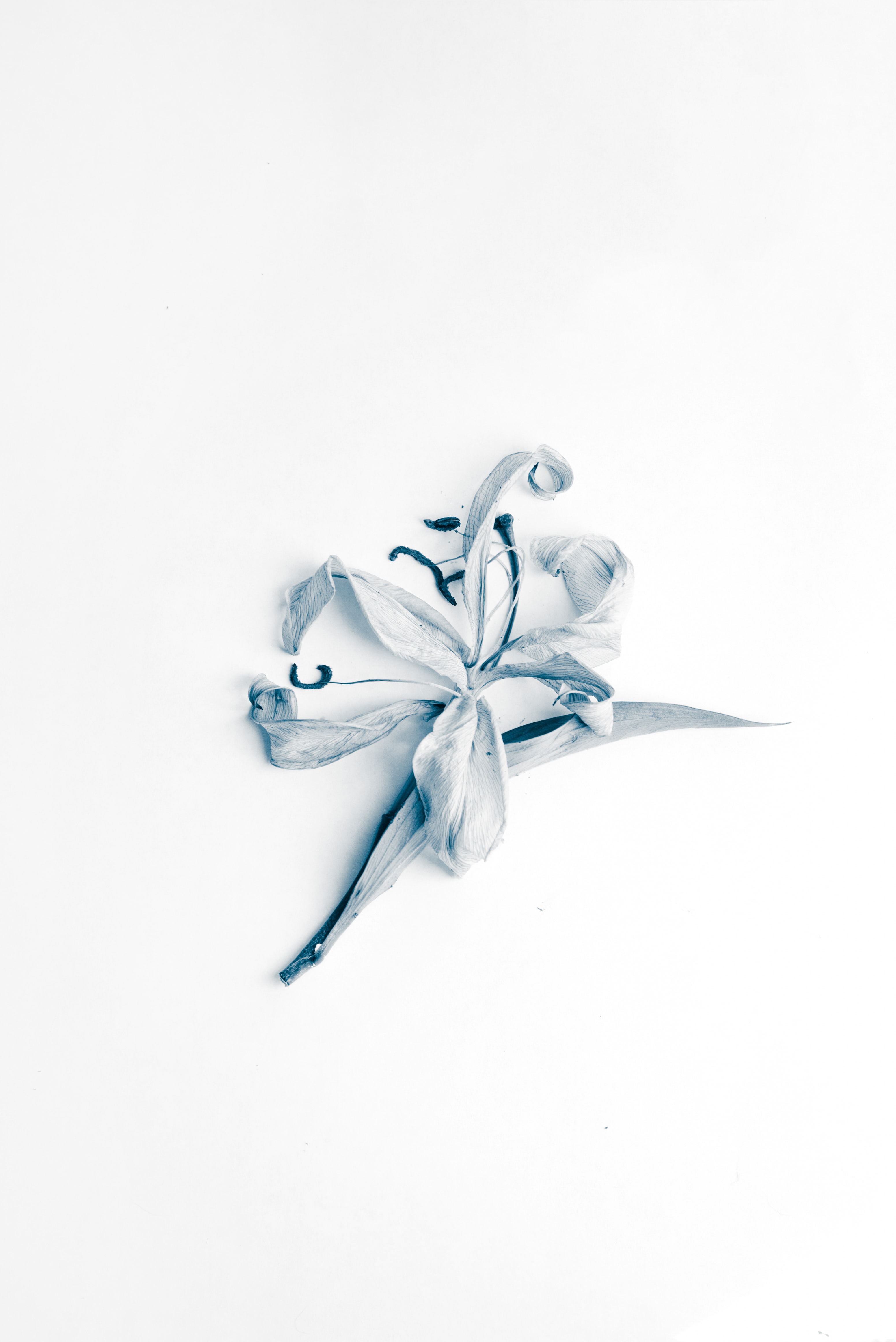 Evie Shaffer on Unsplash