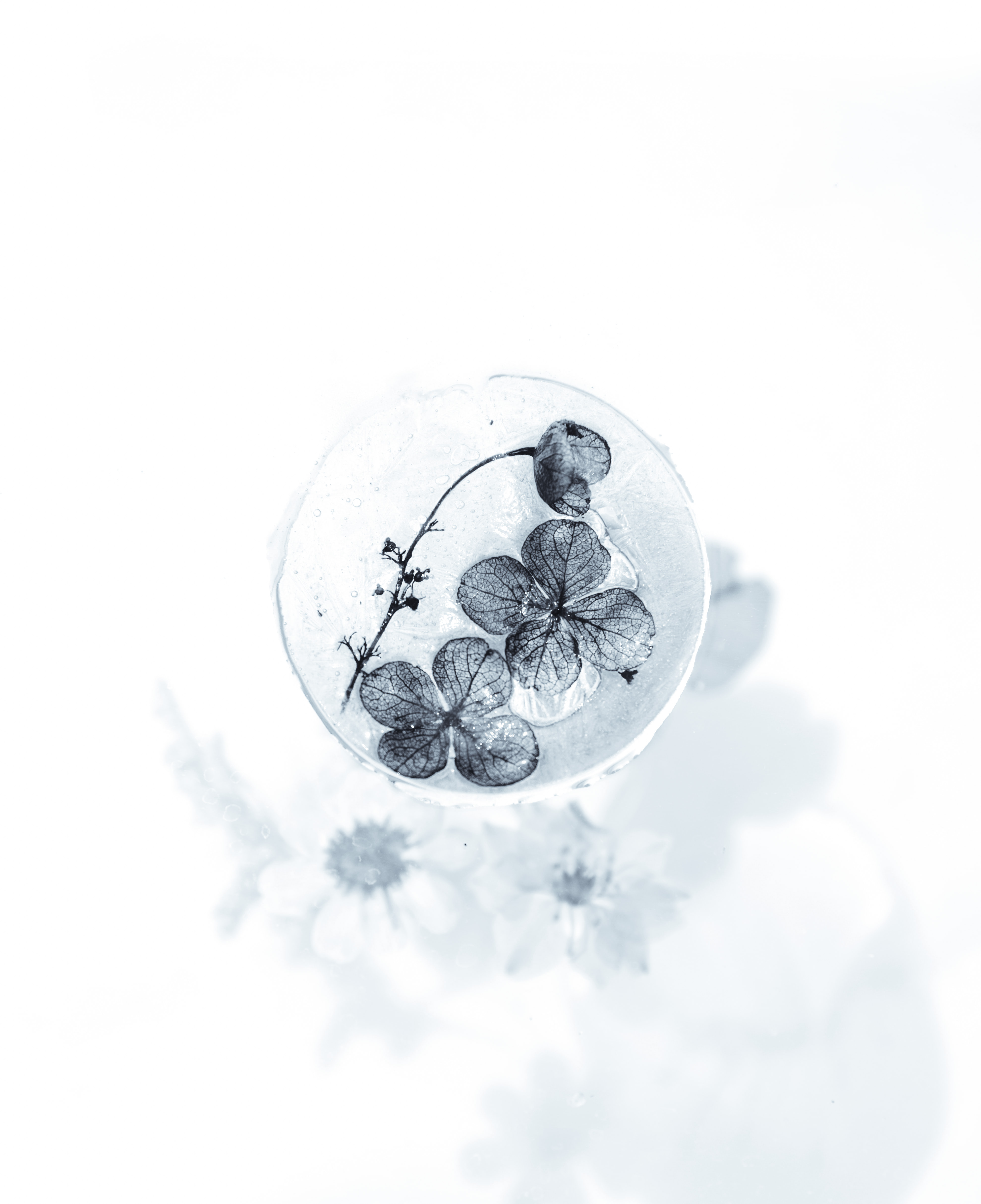 Evie Shaffer on Unsplash